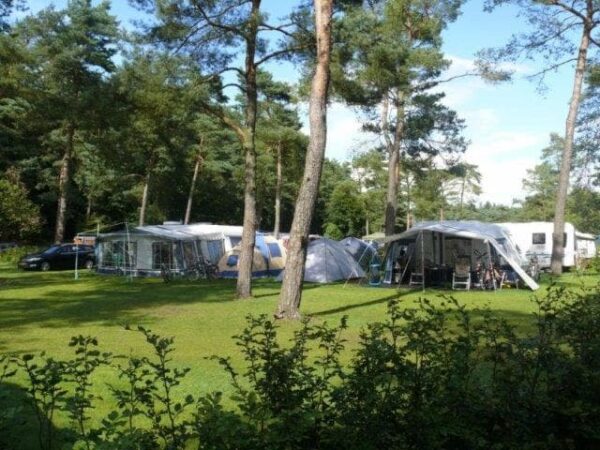 Hoofdafbeelding Natuurcampings Veluwe